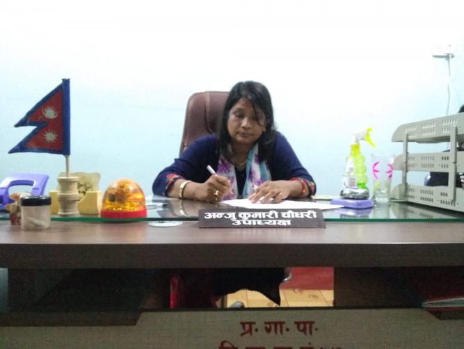 पालिका भित्रका  सम्पुर्ण समस्या समाधान गर्न अाफु लागि परेको छु  : कार्यवाहक अध्यक्ष चाैधरी