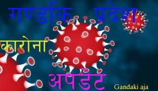 गण्डकि प्रदेशमा थप ३९ जनामा कारोना संक्रमण
