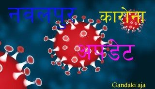 नवलपुरमा थप ११मा संक्रमण देखिएसँगै प्रदेशमा संक्रमित संख्या ११००० नजिक