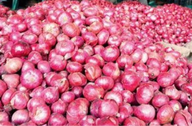 साउनदेखि आठ महिनामा २ अर्ब ७९ करोड रुपैयाँको प्याज आयात